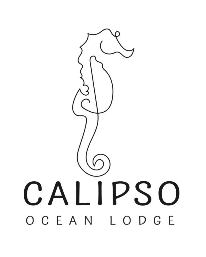 Calipso Ocean Lodge- Avellana Beach Hotel Playa Avellana Exteriér fotografie