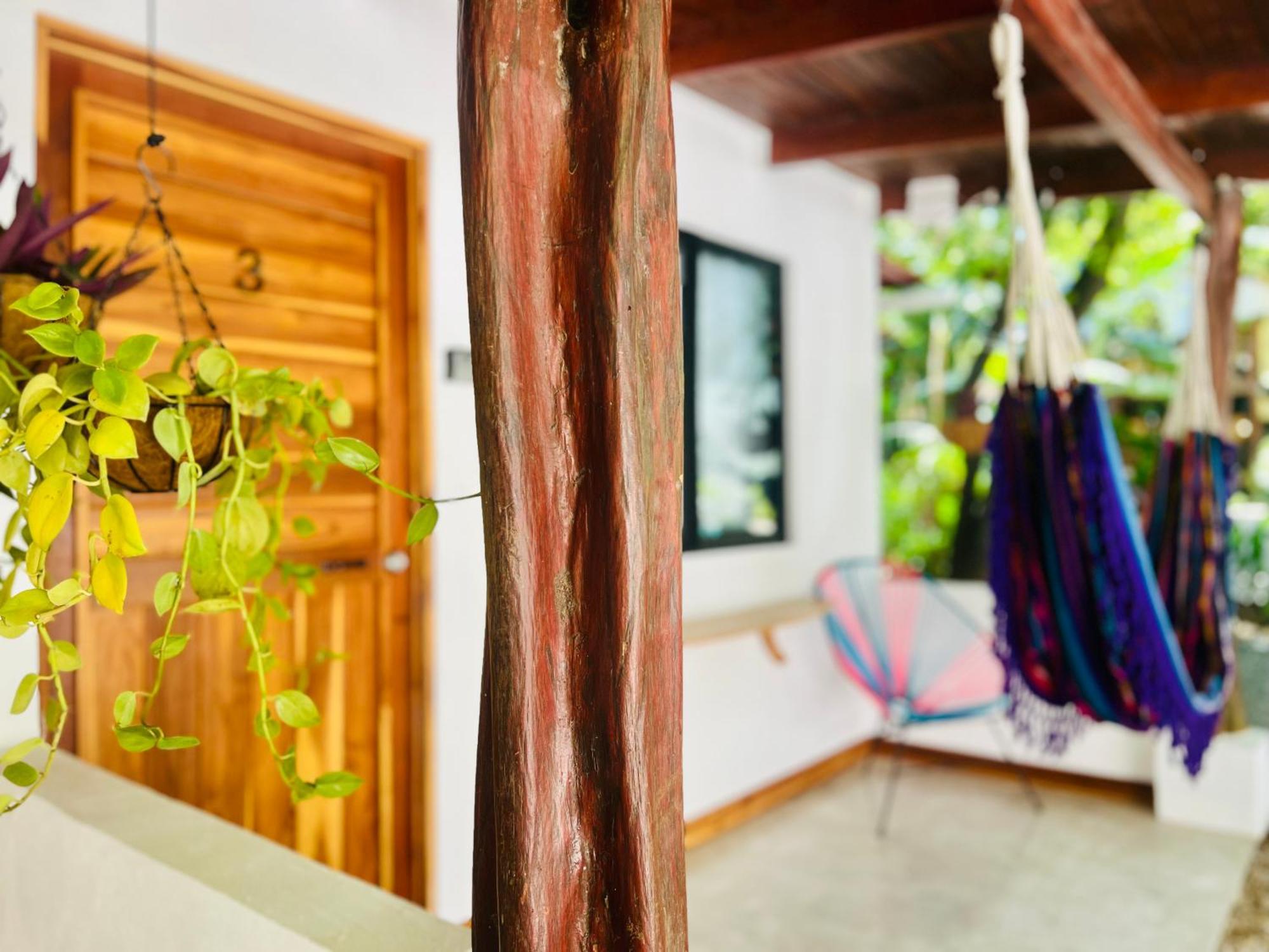 Calipso Ocean Lodge- Avellana Beach Hotel Playa Avellana Exteriér fotografie